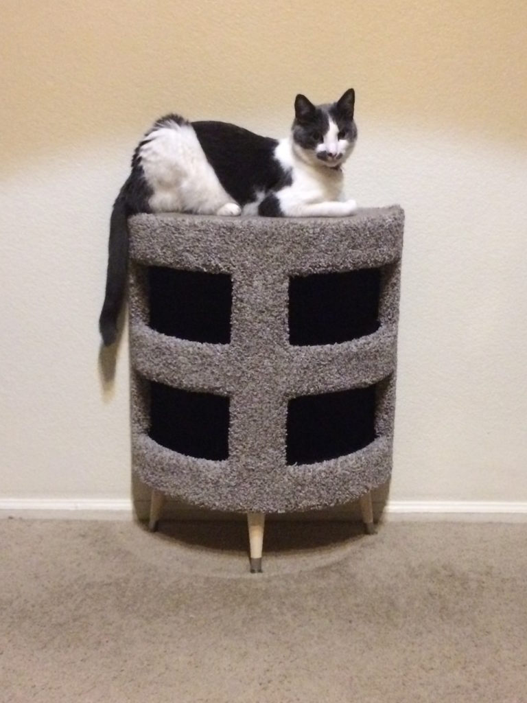 A cat sitting on top of a condo that's a semi-circle against the wall, with two levels.