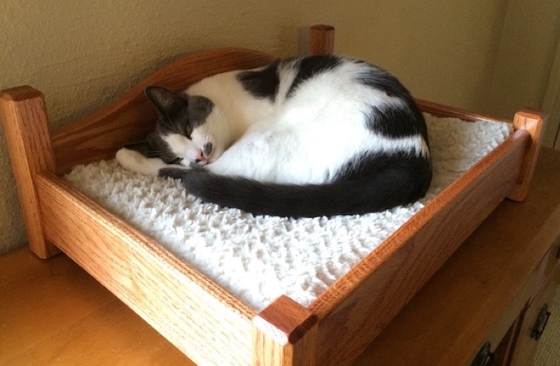 a gray and white cat curled up on a wooden cat bed